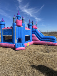 IMG 0714 1773727398 Princess Castle - Dry Only