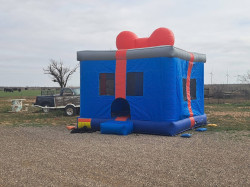 IMG 1640 1773728296 The Present - Dry Only