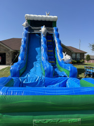 IMG 4583 1773722220 Dolphin Slide - Wet&Dry