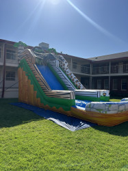 IMG 6236 1773729850 Wild Ride - Wet&Dry