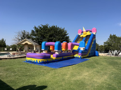 IMG 6745 1773725939 Ice Cream Slide With Slip N Splash